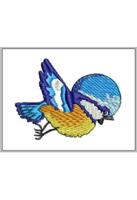 Chi073  - Little blue bird